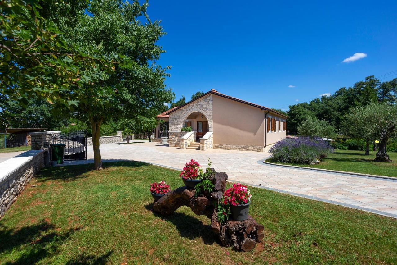 Villa Krizanci Zminj Exterior photo